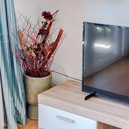 Separovic بريسبا