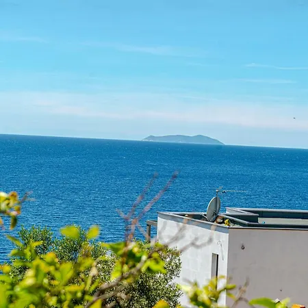 Separovic 아파트